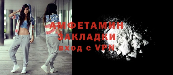 ГАЛЛЮЦИНОГЕННЫЕ ГРИБЫ Михайлов