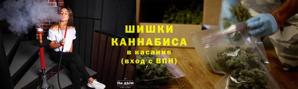 ГАЛЛЮЦИНОГЕННЫЕ ГРИБЫ Михайлов