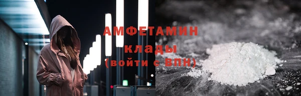 ГАЛЛЮЦИНОГЕННЫЕ ГРИБЫ Михайлов