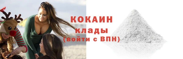 ГАЛЛЮЦИНОГЕННЫЕ ГРИБЫ Михайлов
