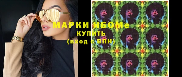 ГАЛЛЮЦИНОГЕННЫЕ ГРИБЫ Михайлов