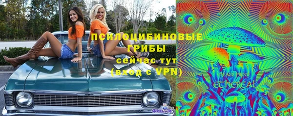 ГАЛЛЮЦИНОГЕННЫЕ ГРИБЫ Михайлов