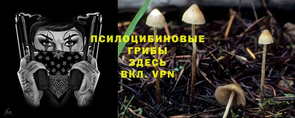 mdpv Артём