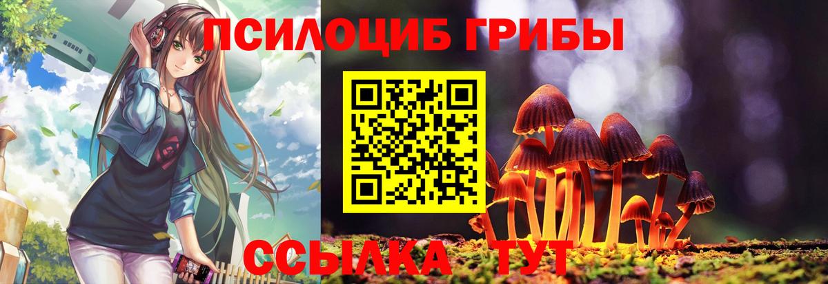 Петрозаводск  Галлюциногенные грибы Psilocybe  Вход с VPN  Галлюциногенные грибы Psilocybine cubensis 